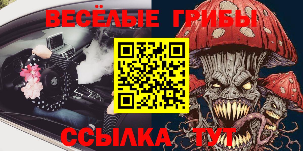 Псилоцибиновые грибы мицелий Пугачёв