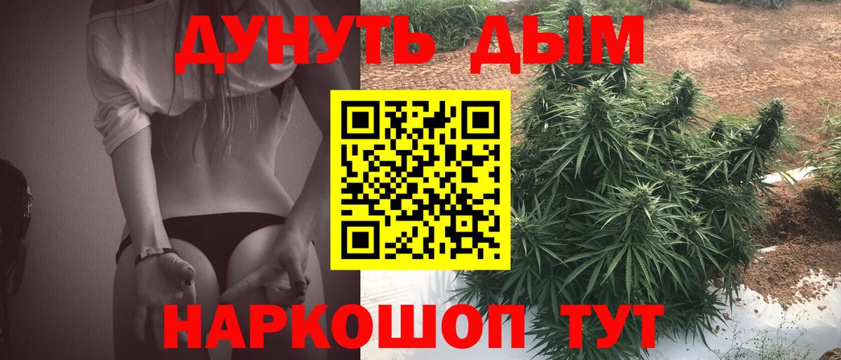 Бошки Шишки MAZAR  Каннабис OG Kush  Пугачёв  Канабис AK-47  Вход с VPN  Конопля семена 